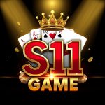 S11 Game